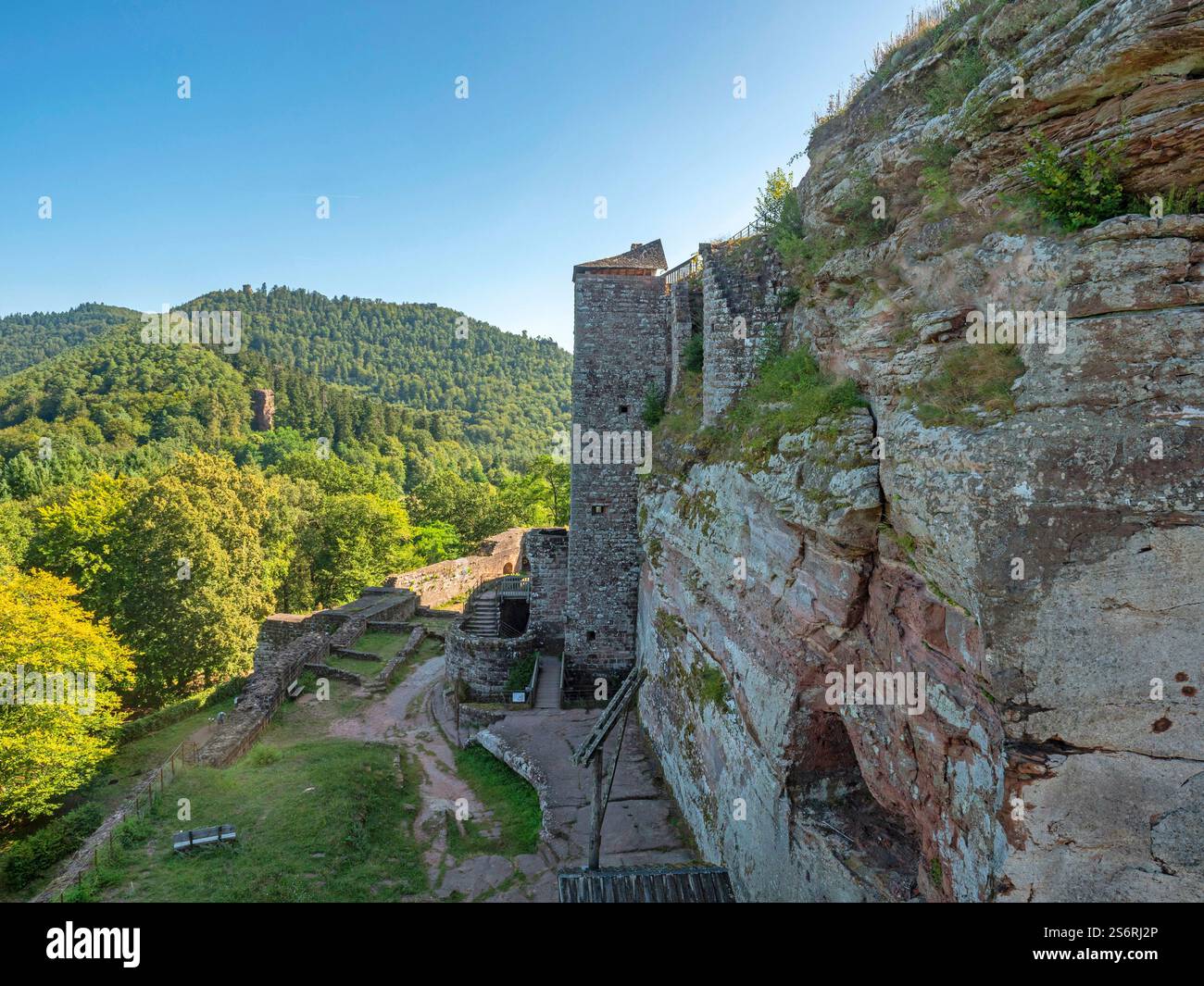 Chateau Fort de Fleckenstein, Lembach, Bas-Rhin, Alsazia, Vosgi, Grand Est, Alsazia-Champagne-Ardenne-Lorena Foto Stock Chateau Fort de Fleckenstein, Lembach, Bas-Rhin, Alsazia, Vosgi, Grand Est, Alsazia-Champagne-Ardenne-Lorena Foto Stock