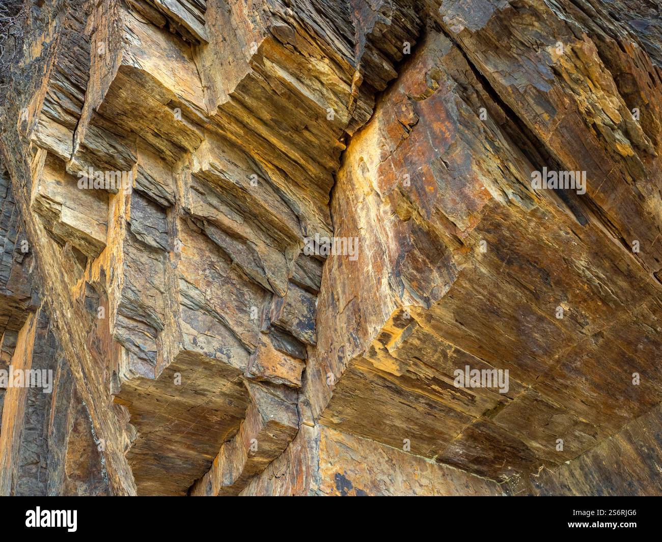 Scogliere di ardesia lungo il percorso escursionistico dei vini rossi vicino a Mayschoß, Ahr, Valle Ahr, Eifel, Renania-Palatinato, Germania Foto Stock Scogliere di ardesia lungo il percorso escursionistico dei vini rossi vicino a Mayschoß, Ahr, Valle Ahr, Eifel, Renania-Palatinato, Germania Foto Stock