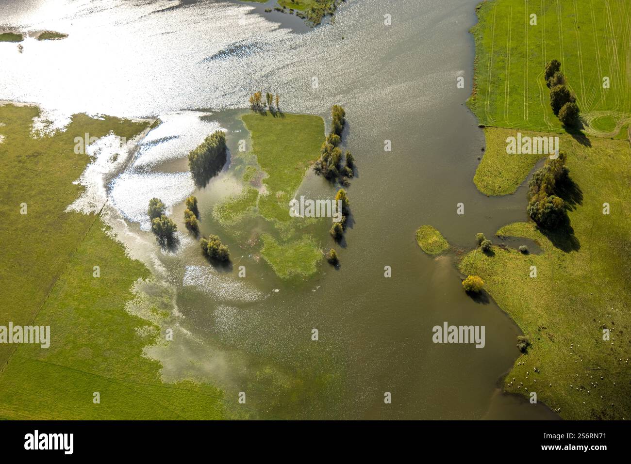 Luftbild, Überschwemmungsgebiet am Hafen Emmelsum und Fluss Rhein, Bäume und Wiesen unter Wasser, Spellen, Voerde, Niederrhein, Nordrhein-Westfalen, D Foto Stock