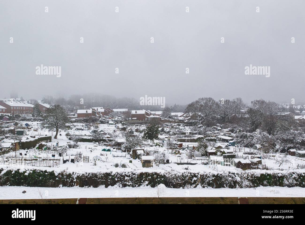 Giardini e case ricoperte di neve sono visibili in una giornata nebbiosa. La scena è dominata da grigi e bianchi attenuati, con qualche bullo di colore mattone Foto Stock