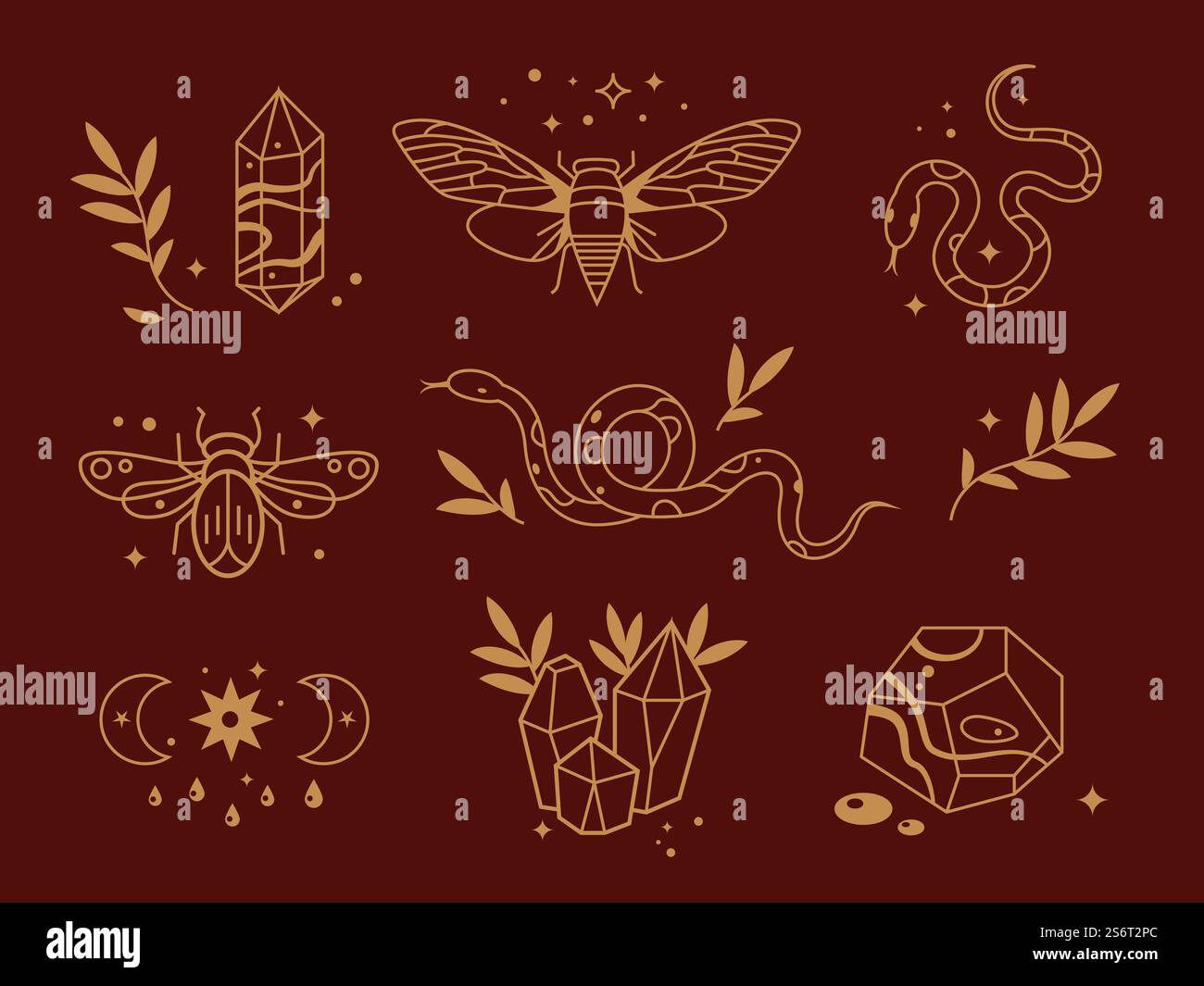 Elementi mistici di linea. Insetti magici, elementi lunari e stelle. Profilo piatto serpente e mezzaluna in gabbia. Collezione vettoriale di tatuaggi bohémien. Illustrazione magia e linea esoterica. Elementi mistici di linea. Insetti magici, elementi lunari e stelle. Profilo piatto serpente e mezzaluna in gabbia. Collezione vettoriale di tatuaggi bohémien Illustrazione Vettoriale