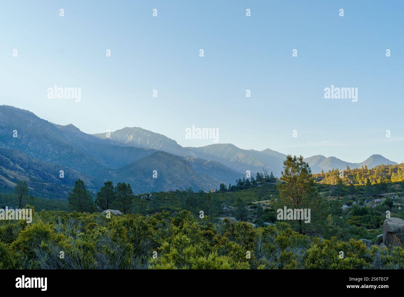 Raggi di sole che arrivano sulla catena montuosa della Sierra Nevada nella Sequoia National Forest nel paesaggio della California con spazio fotocopie Foto Stock