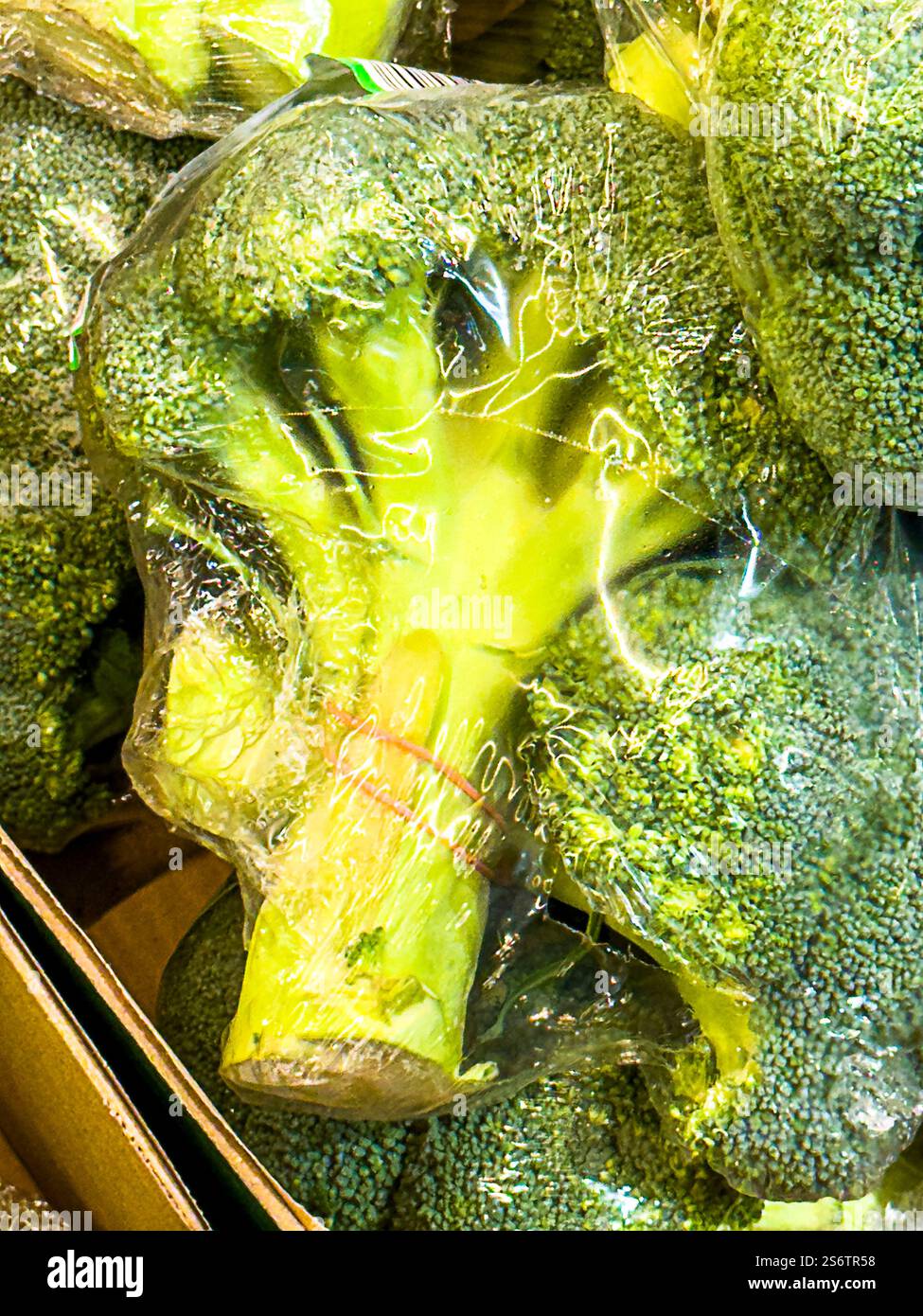 Broccoli in imballaggi di plastica Foto Stock