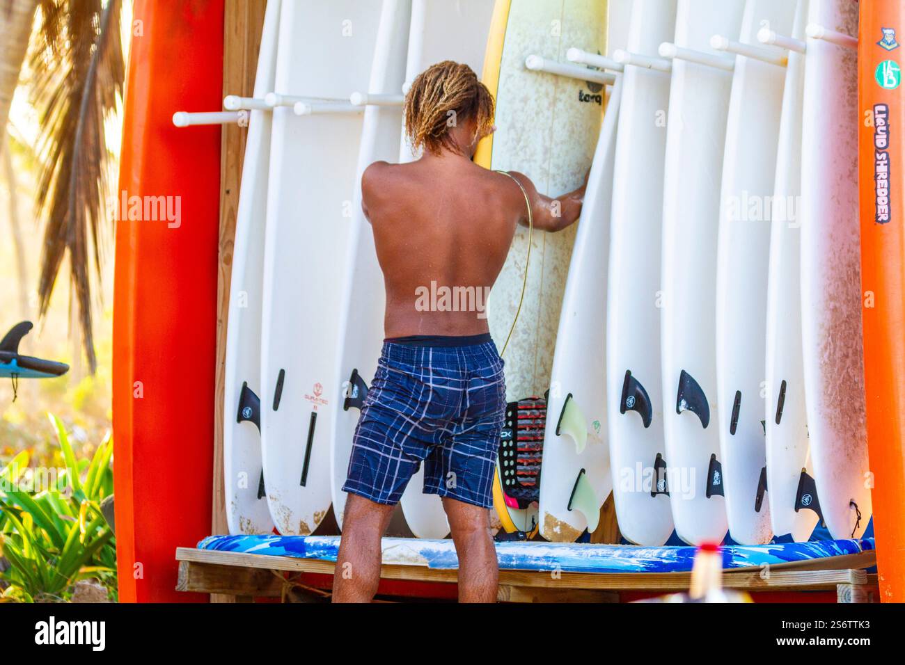 Repubblica Dominicana, Punta Cana, giovane, che afferra una tavola da surf Foto Stock