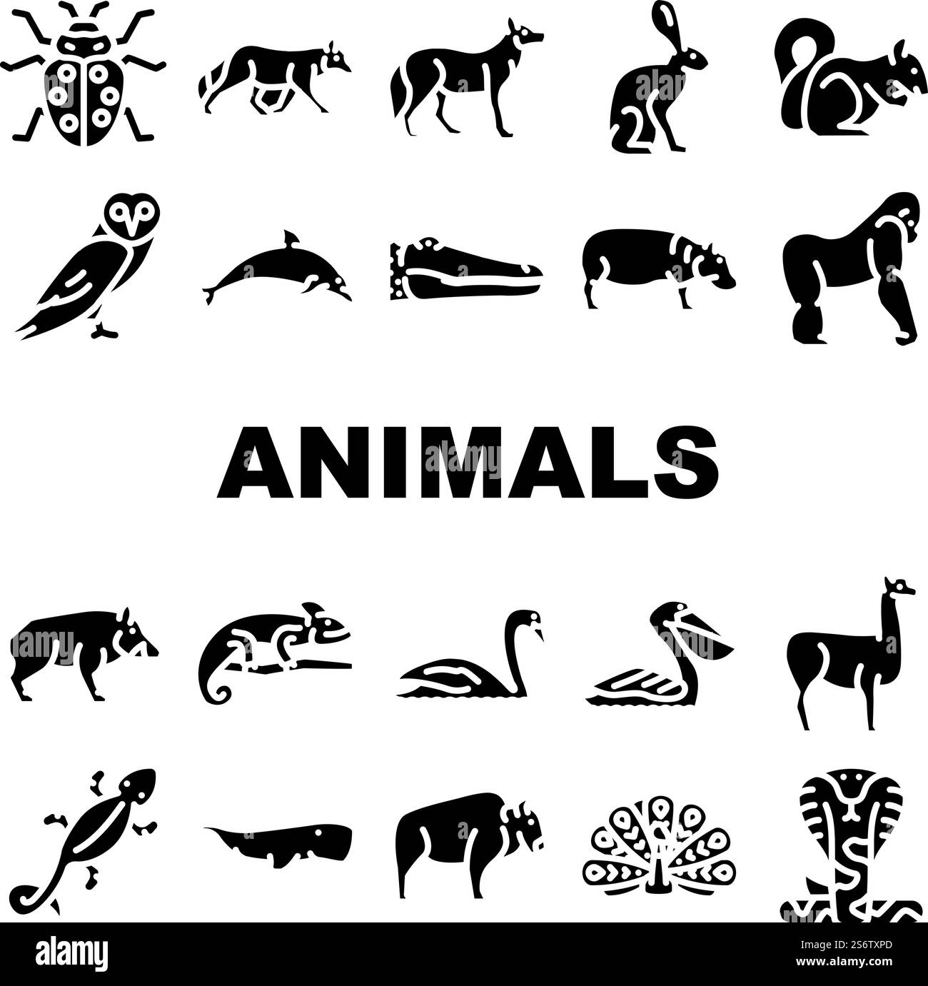 Le icone di animali selvatici, uccelli e insetti impostano Vector. Alligatore rettile e Cobra serpente, ippopotamo e delfini mammiferi marini, scoiattolo e Camaleonte glifi pittogrammi illustrazioni nere. Le icone di animali selvatici, uccelli e insetti impostano Vector Illustrazione Vettoriale