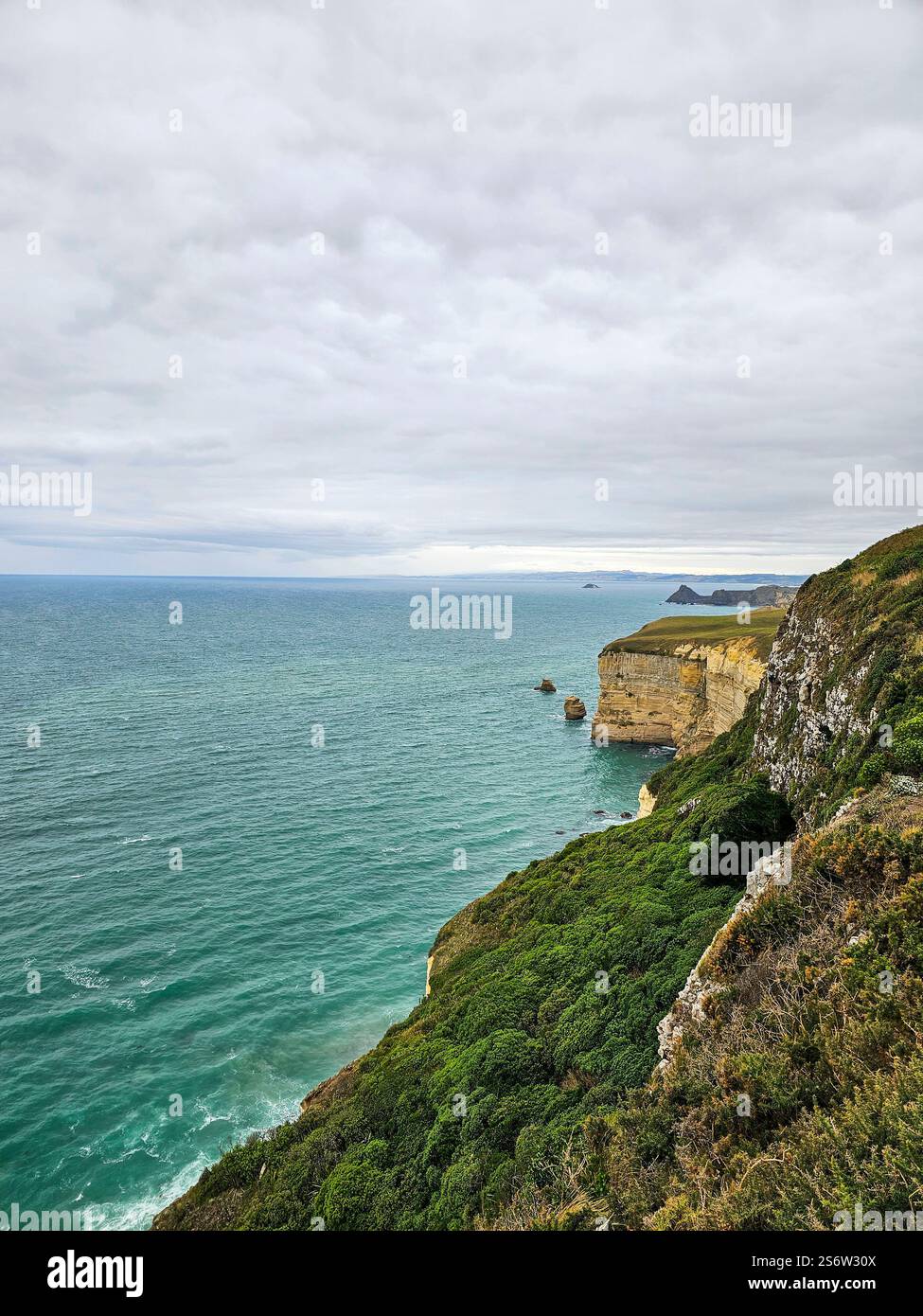 Scogliere vicino al sobborgo di Saint Clair, Dunedin, Otago, nuova Zelanda Foto Stock