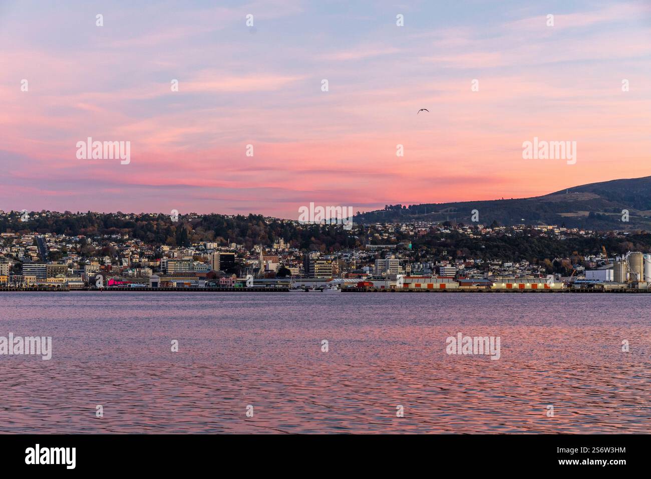 Alba su Dunedin, Otago, nuova Zelanda Foto Stock