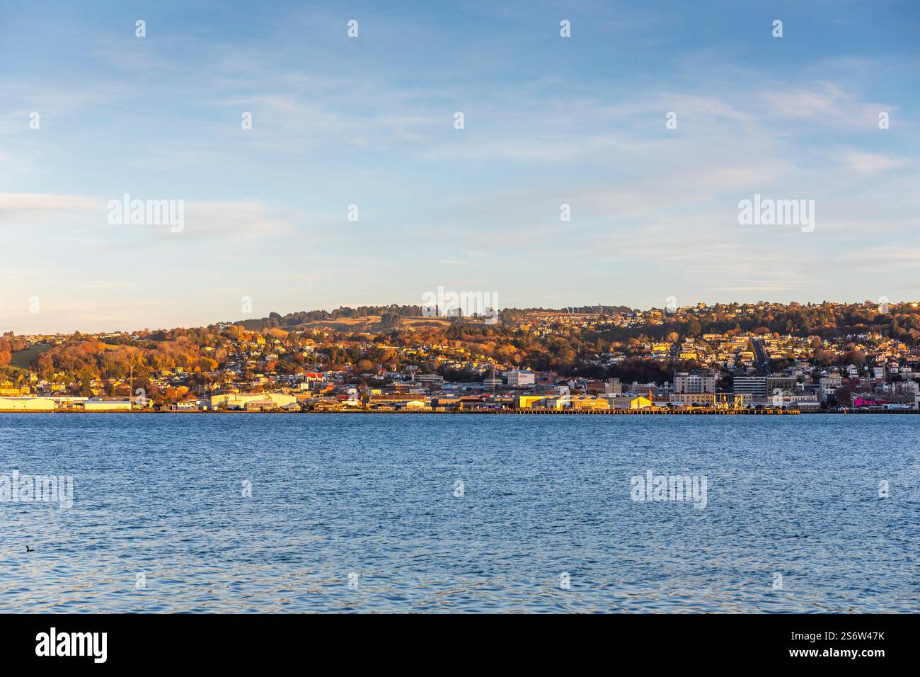 Alba su Dunedin, Otago, nuova Zelanda Foto Stock