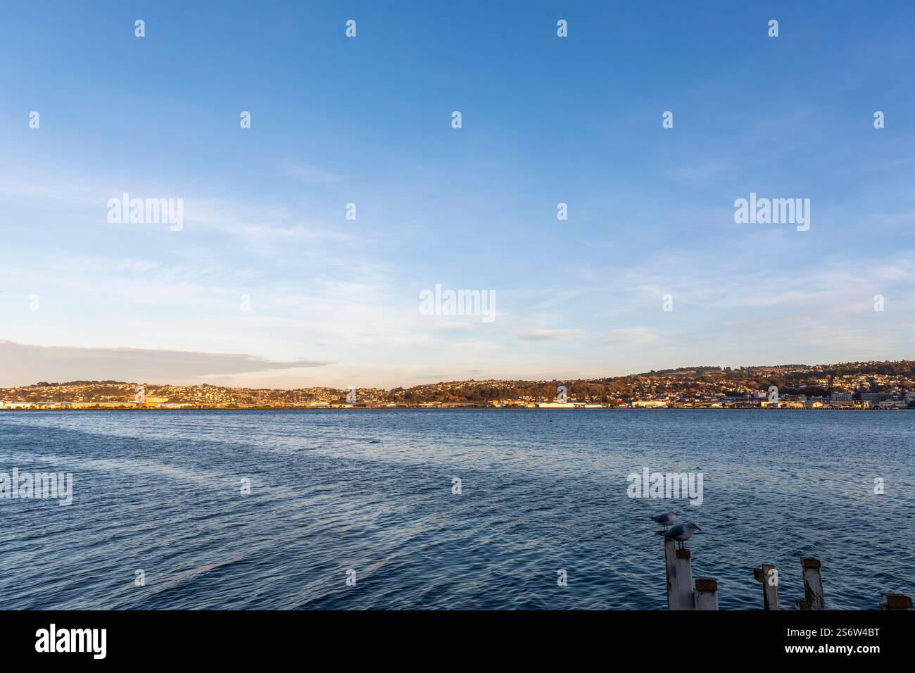 Alba su Dunedin, Otago, nuova Zelanda Foto Stock
