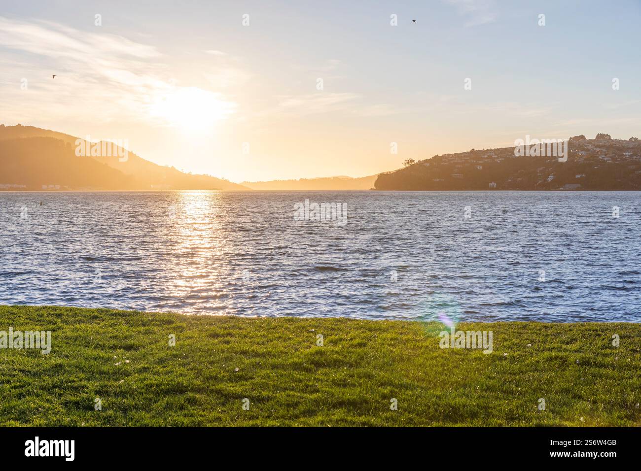 Alba su Dunedin, Otago, nuova Zelanda Foto Stock