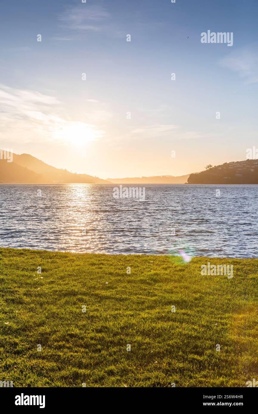 Alba su Dunedin, Otago, nuova Zelanda Foto Stock
