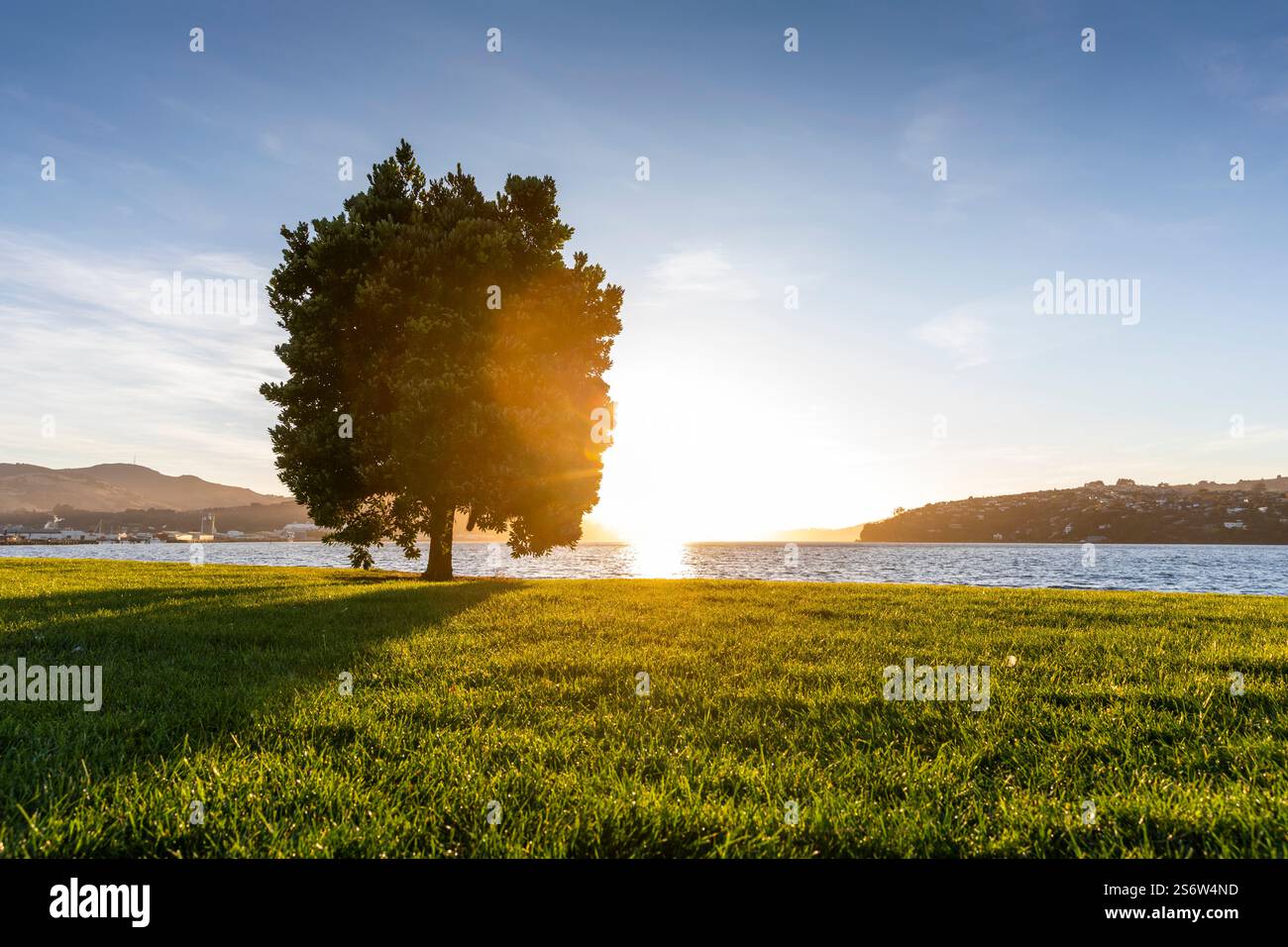 Alba su Dunedin, Otago, nuova Zelanda Foto Stock