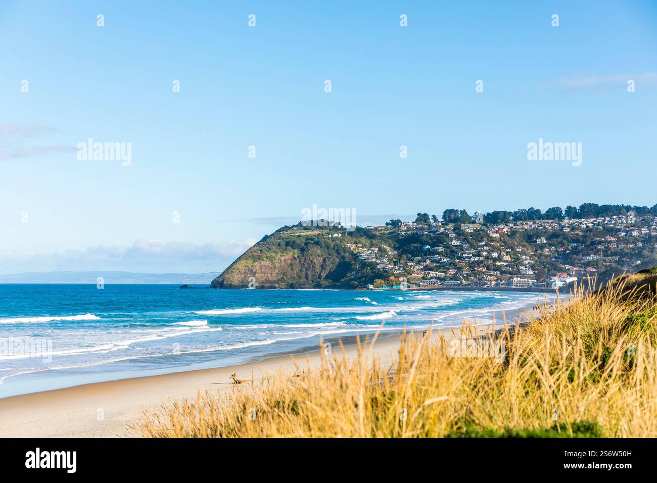 La spiaggia e il mare vicino a Saint Clair, Dunedin, Otago, nuova Zelanda Foto Stock