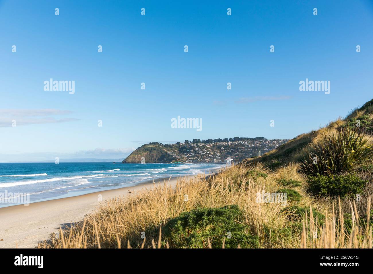 La spiaggia e il mare vicino a Saint Clair, Dunedin, Otago, nuova Zelanda Foto Stock
