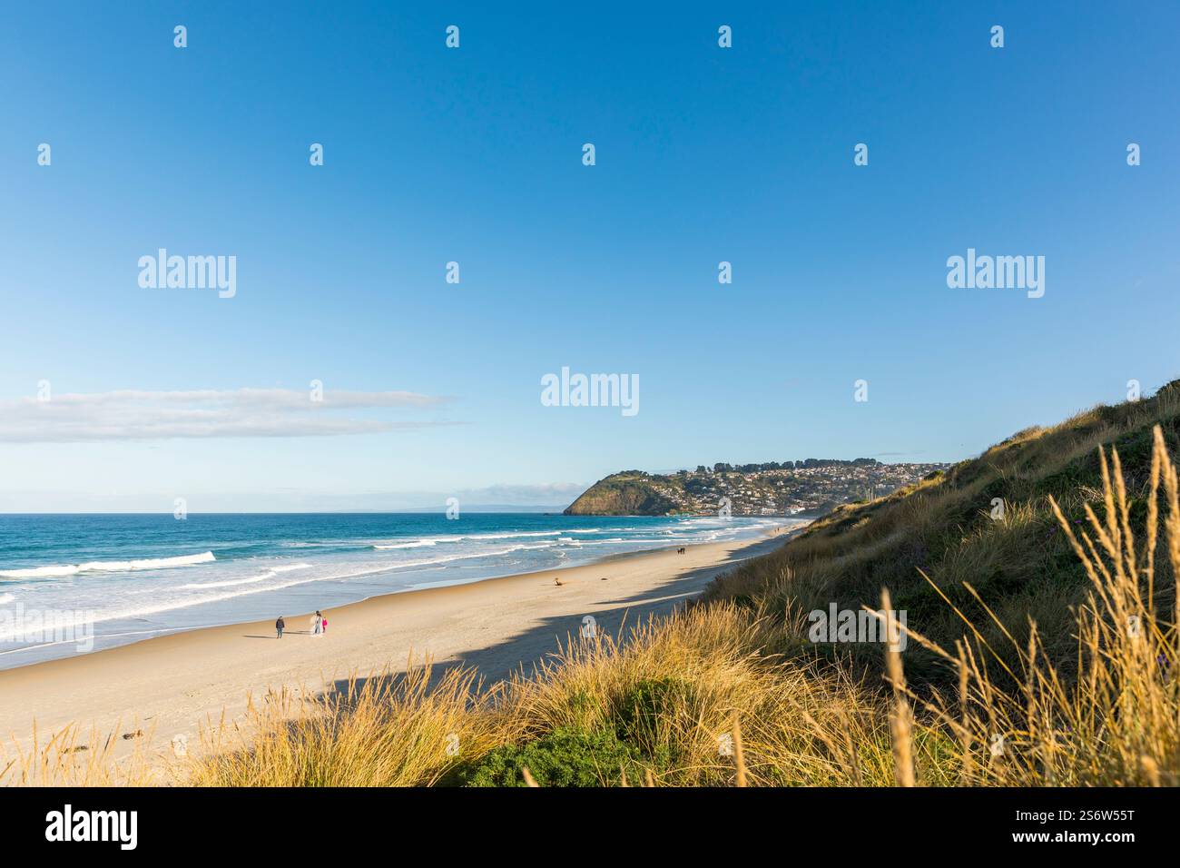 La spiaggia e il mare vicino a Saint Clair, Dunedin, Otago, nuova Zelanda Foto Stock