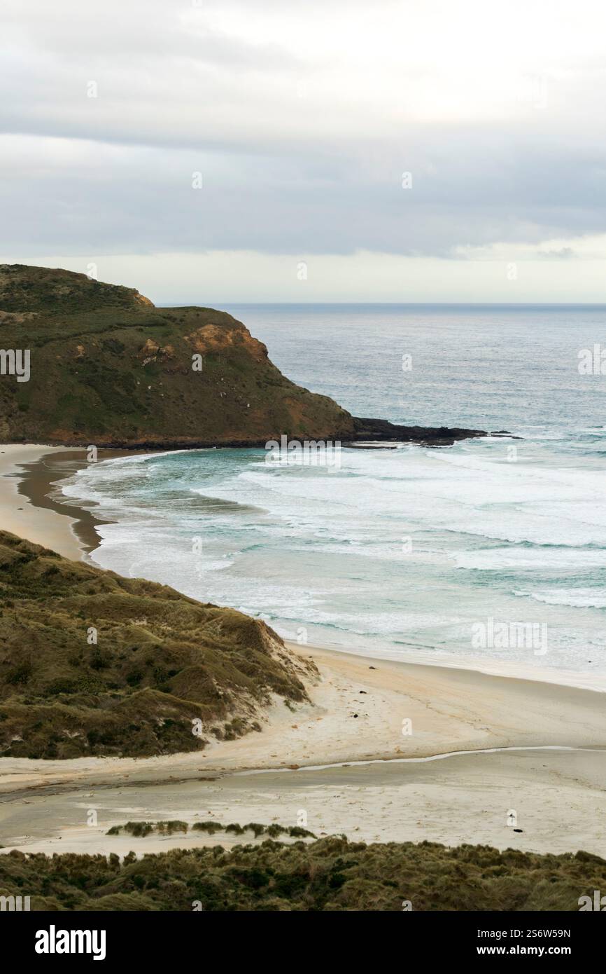 La spiaggia e il mare vicino a Saint Clair, Dunedin, Otago, nuova Zelanda Foto Stock