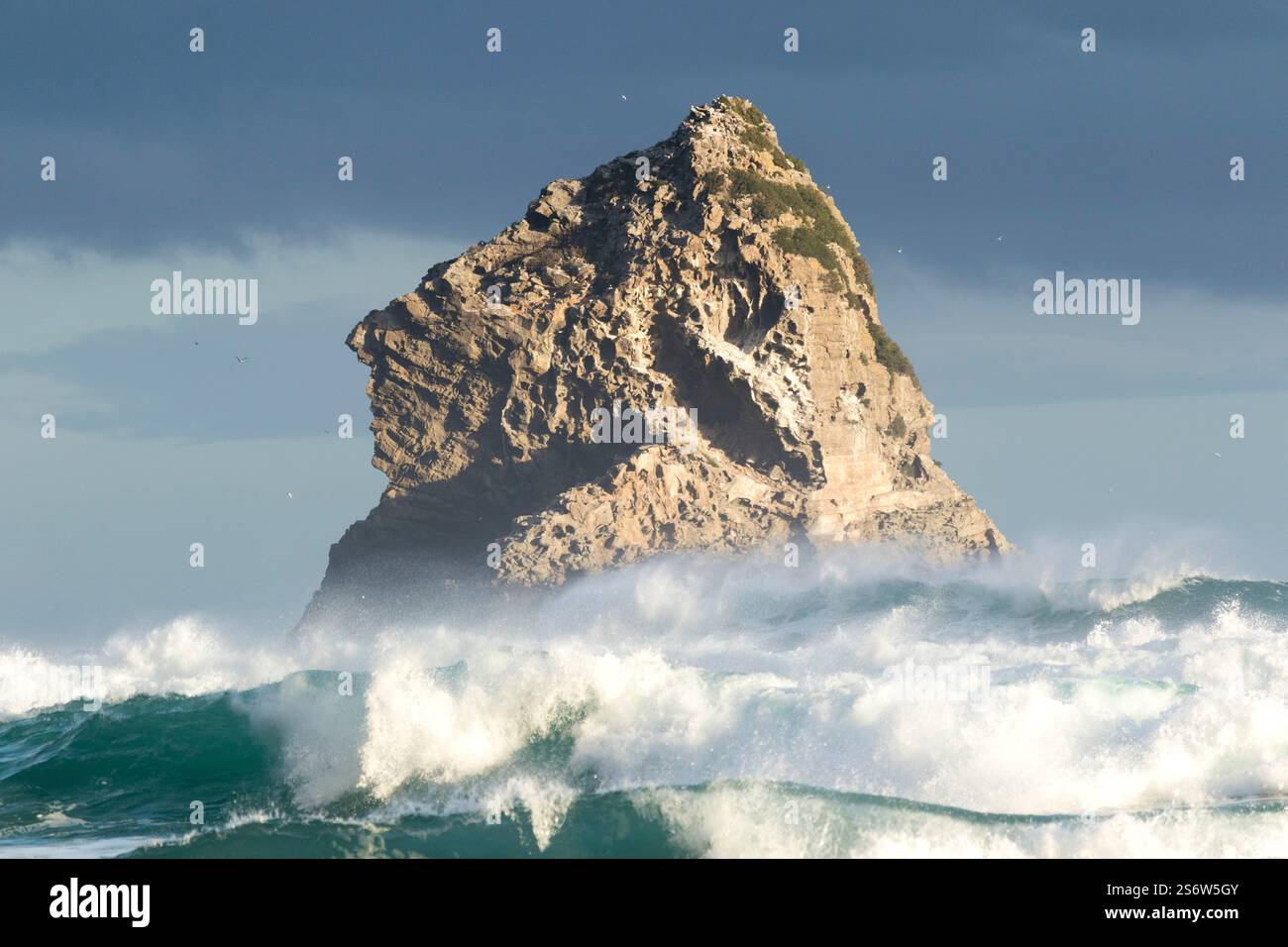 Un'isola rocciosa al largo della spiaggia e del mare vicino a Saint Clair, Dunedin, Otago, nuova Zelanda Foto Stock