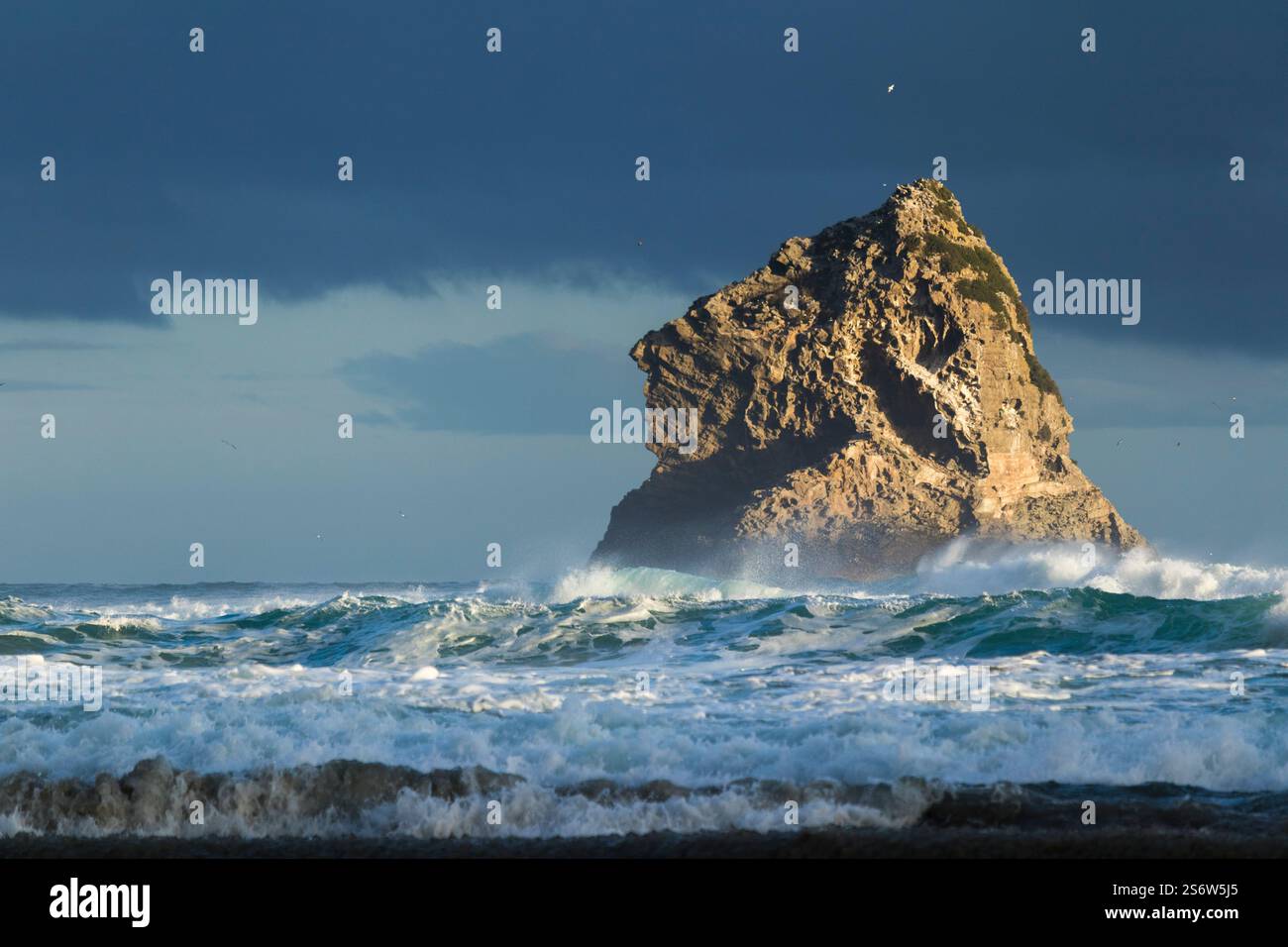 Un'isola rocciosa al largo della spiaggia e del mare vicino a Saint Clair, Dunedin, Otago, nuova Zelanda Foto Stock