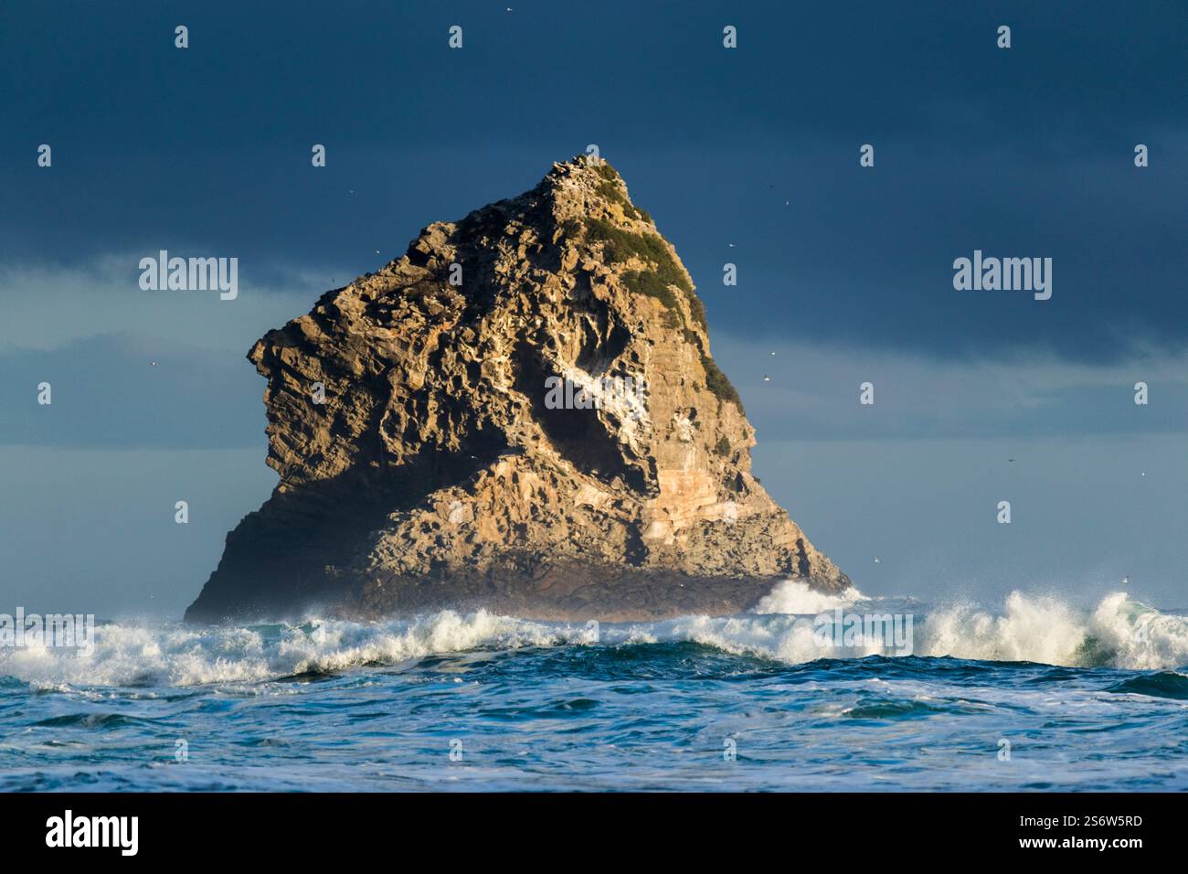 Un'isola rocciosa al largo della spiaggia e del mare vicino a Saint Clair, Dunedin, Otago, nuova Zelanda Foto Stock