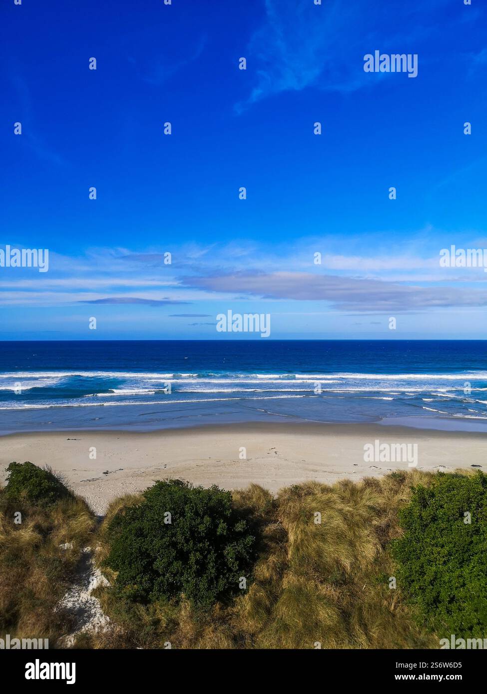 La spiaggia e il mare vicino a Saint Clair, Dunedin, Otago, nuova Zelanda Foto Stock