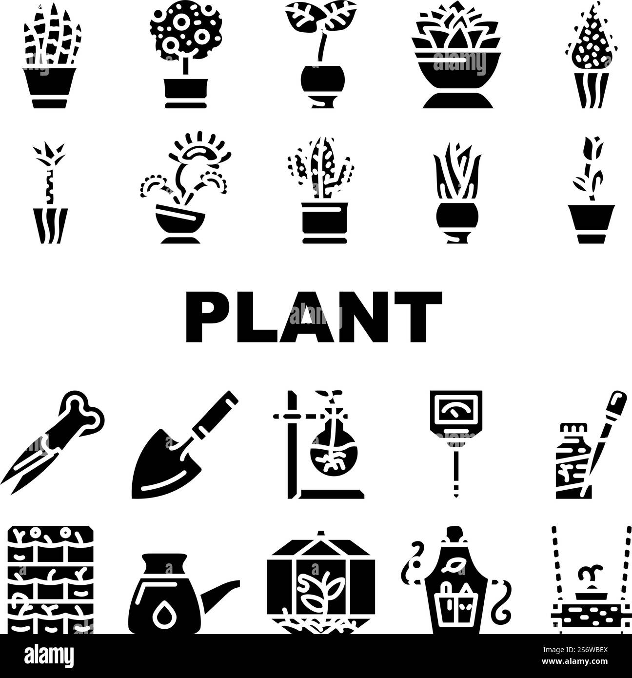 Icone degli accessori per la cura e l'impianto in vaso Set Vector. Sansevieria Trifasciata Citrus Tree, Monstera Deliciosa Buxus Sempervirens pianta in vaso. Illustrazione nera dei pittogrammi glifi per apparecchiature Florarium. Icone degli accessori per la cura e l'impianto in vaso Set Vector Illustrazione Vettoriale