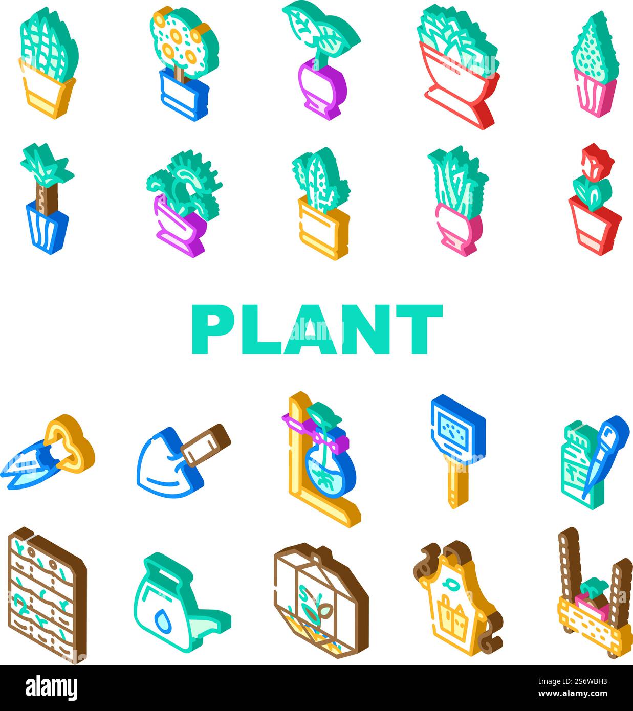 Icone degli accessori per la cura e l'impianto in vaso Set Vector. Sansevieria Trifasciata Citrus Tree, Monstera Deliciosa e Buxus Sempervirens pianta in vaso. Illustrazioni dei colori dei segni isometrici delle apparecchiature Florarium. Icone degli accessori per la cura e l'impianto in vaso Set Vector Illustrazione Vettoriale