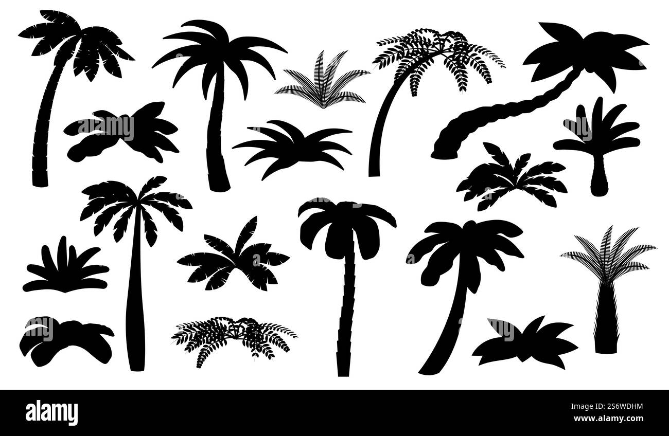 Silhouette a palma nera. Palme isolate, palme da cocco. Bush di spiaggia, elementi tropicali esotici della foresta. Paesaggio estivo di viaggi oceanici recente insieme di vettori. Immagine della silhouette naturale del disegno ad albero. Silhouette a palma nera. Palme isolate, palme da cocco. Bush di spiaggia, elementi tropicali esotici della foresta. Paesaggio estivo di viaggi oceanici recente insieme di vettori Illustrazione Vettoriale