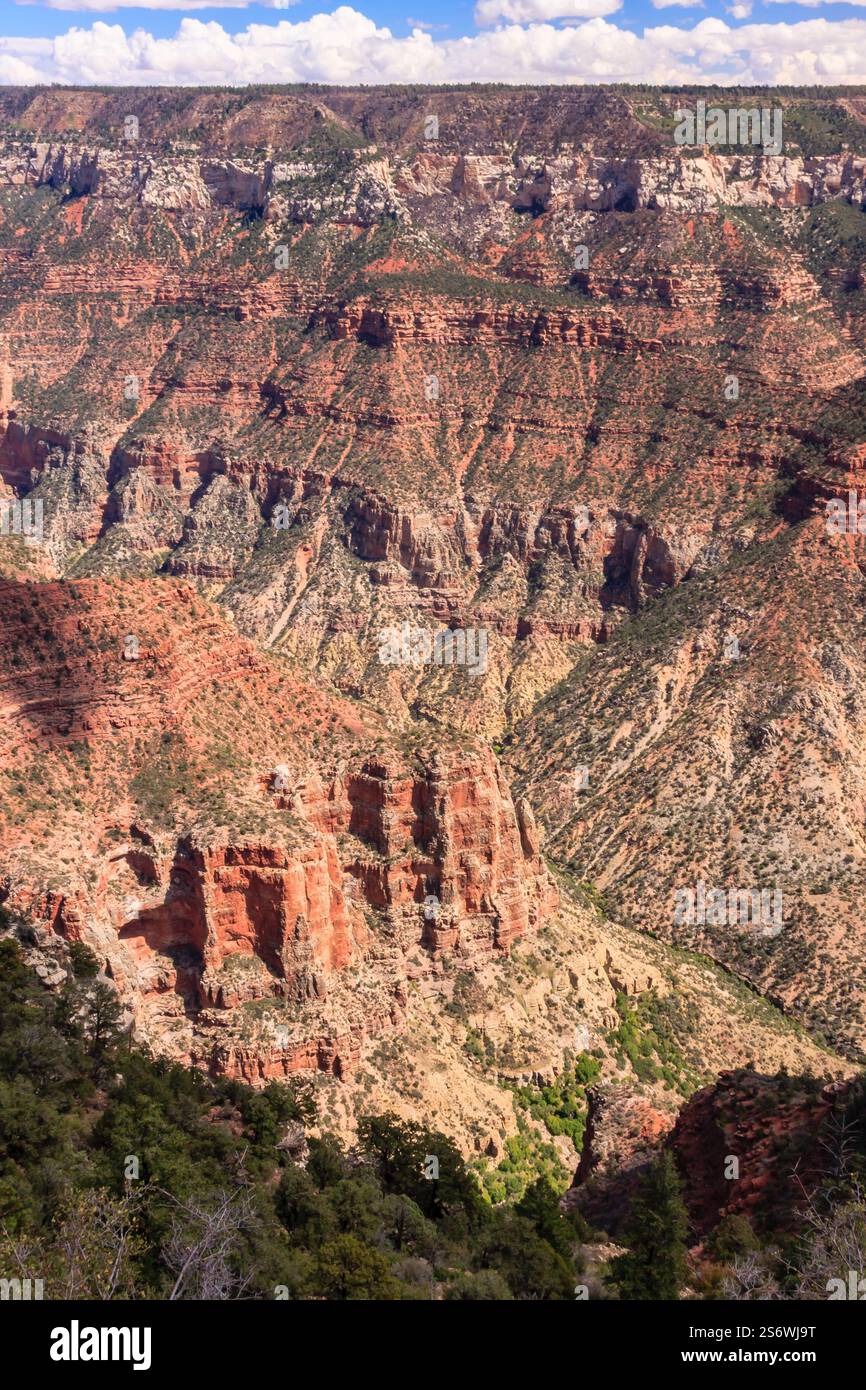 Il Grand Canyon National Park è uno dei parchi nazionali più antichi degli Stati Uniti e si trova in Arizona. All'interno del parco si trova il Grand Canyon, un gorg Foto Stock