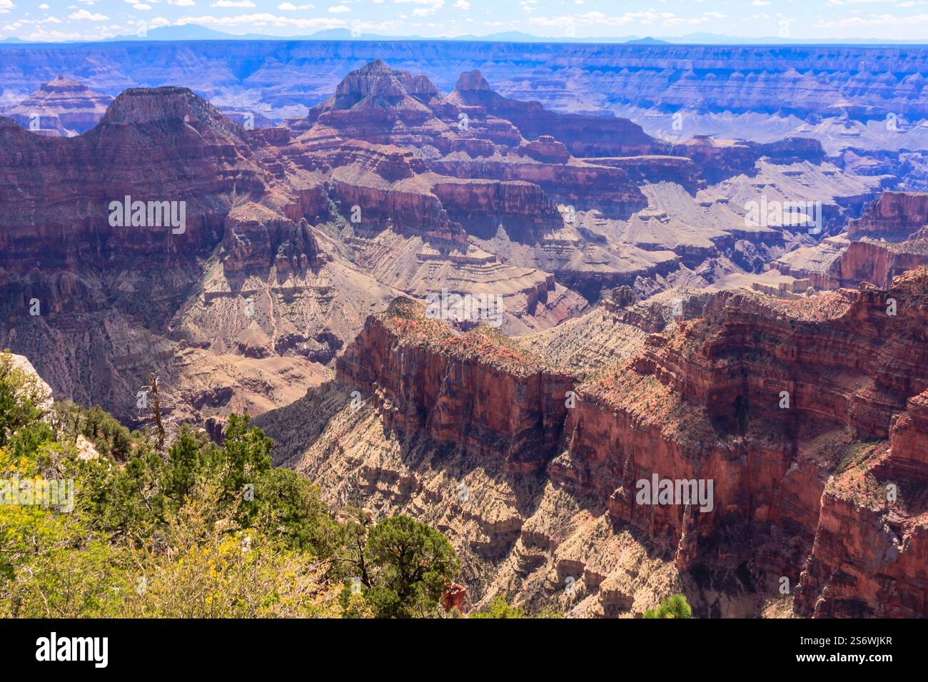 Il Grand Canyon National Park è uno dei parchi nazionali più antichi degli Stati Uniti e si trova in Arizona. All'interno del parco si trova il Grand Canyon, un gorg Foto Stock