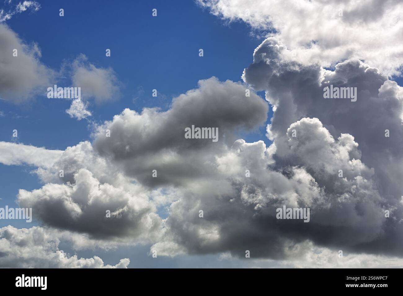 Cumulus Clouds in Blue Sky, full-frame, Dingle Bay, Dingle Peninsula, County Kerry, Slea Head Drive, Wild Atlantic Way, North Atlantic, Irlanda, Europ Foto Stock
