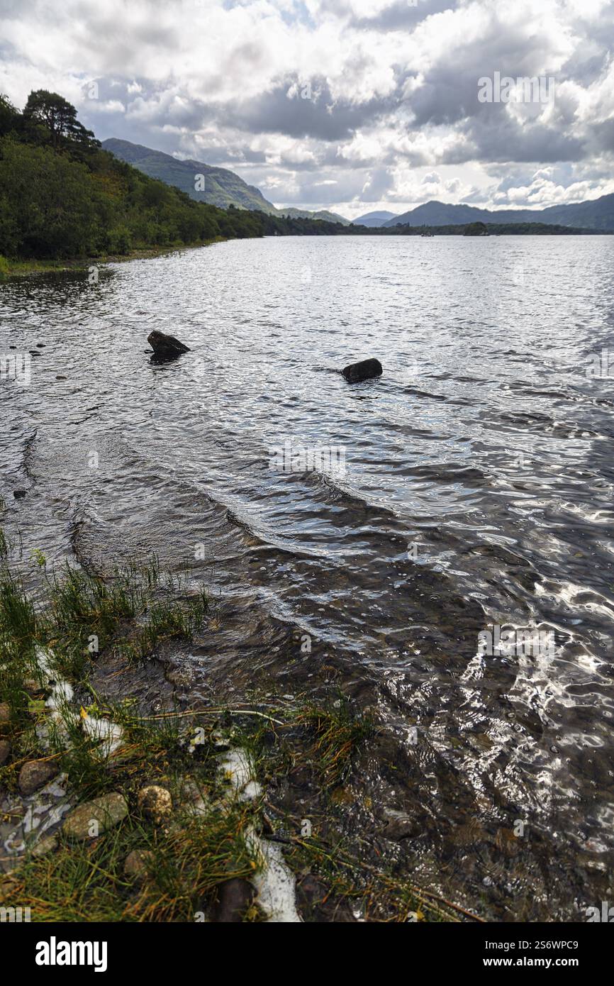 Lough Leane Lakeshore, Killarney National Park, colline all'orizzonte, Ring of Kerry, Iveragh Peninsula, County Kerry, Irlanda, Europa Foto Stock