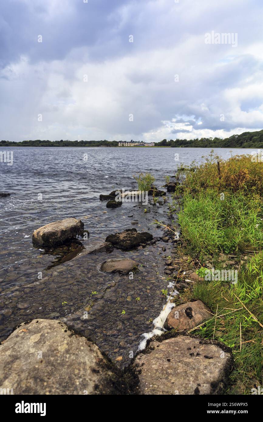 Lough Leane Lakeshore, Killarney National Park, Ring of Kerry, Iveragh Peninsula, County Kerry, Irlanda, Europa Foto Stock