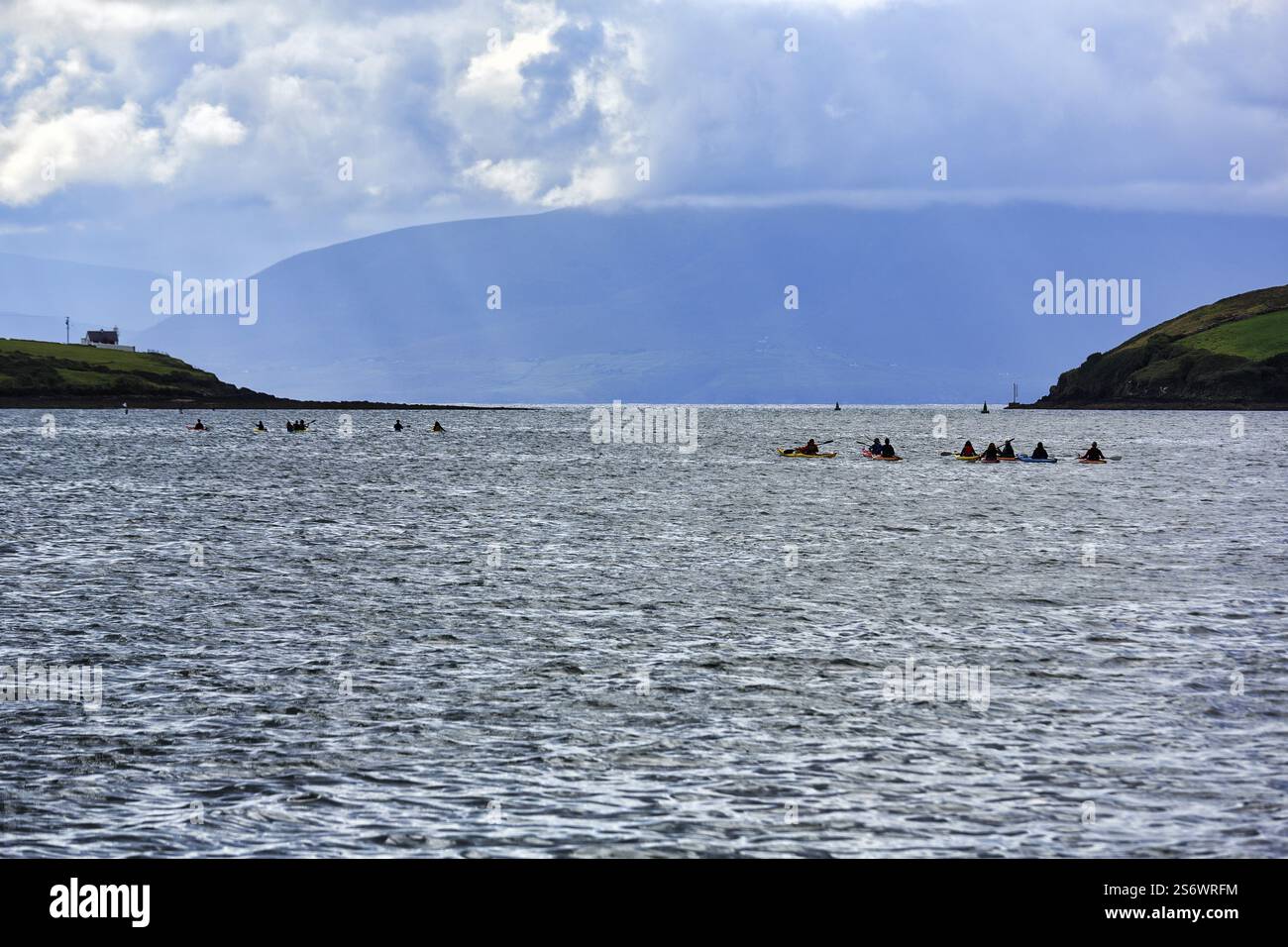 Tour in barca con kayak, avvistamento di delfini e balene, Dingle Bay, Dingle Peninsula, County Kerry, Slea Head Drive, Wild Atlantic Way, North Atlantic, IRE Foto Stock