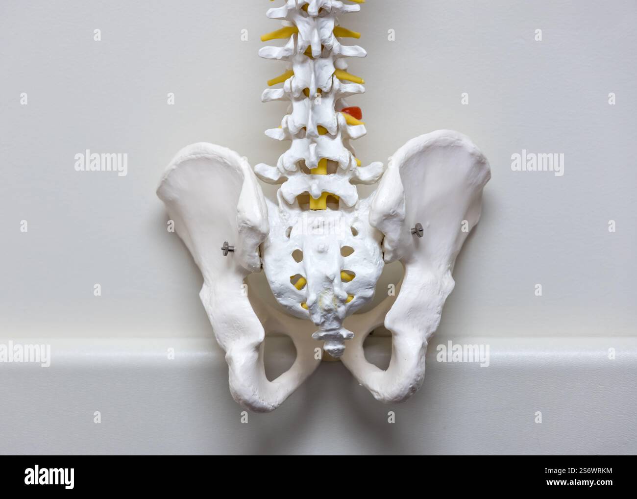 Vista ravvicinata della messa a fuoco selettiva del supporto per liquidi IV. Foto Stock