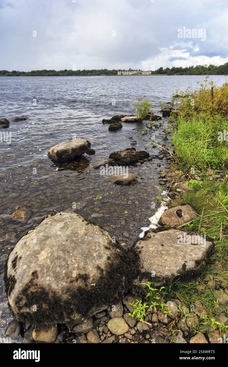 Lough Leane Lakeshore, Killarney National Park, Ring of Kerry, Iveragh Peninsula, County Kerry, Irlanda, Europa Foto Stock