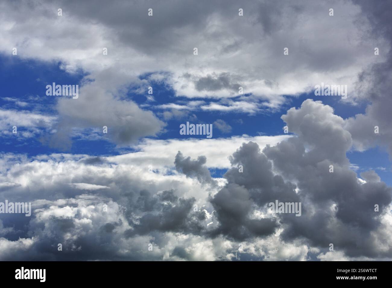 Cumulus Clouds in Blue Sky, full-frame, Dingle Bay, Dingle Peninsula, County Kerry, Slea Head Drive, Wild Atlantic Way, North Atlantic, Irlanda, Europ Foto Stock