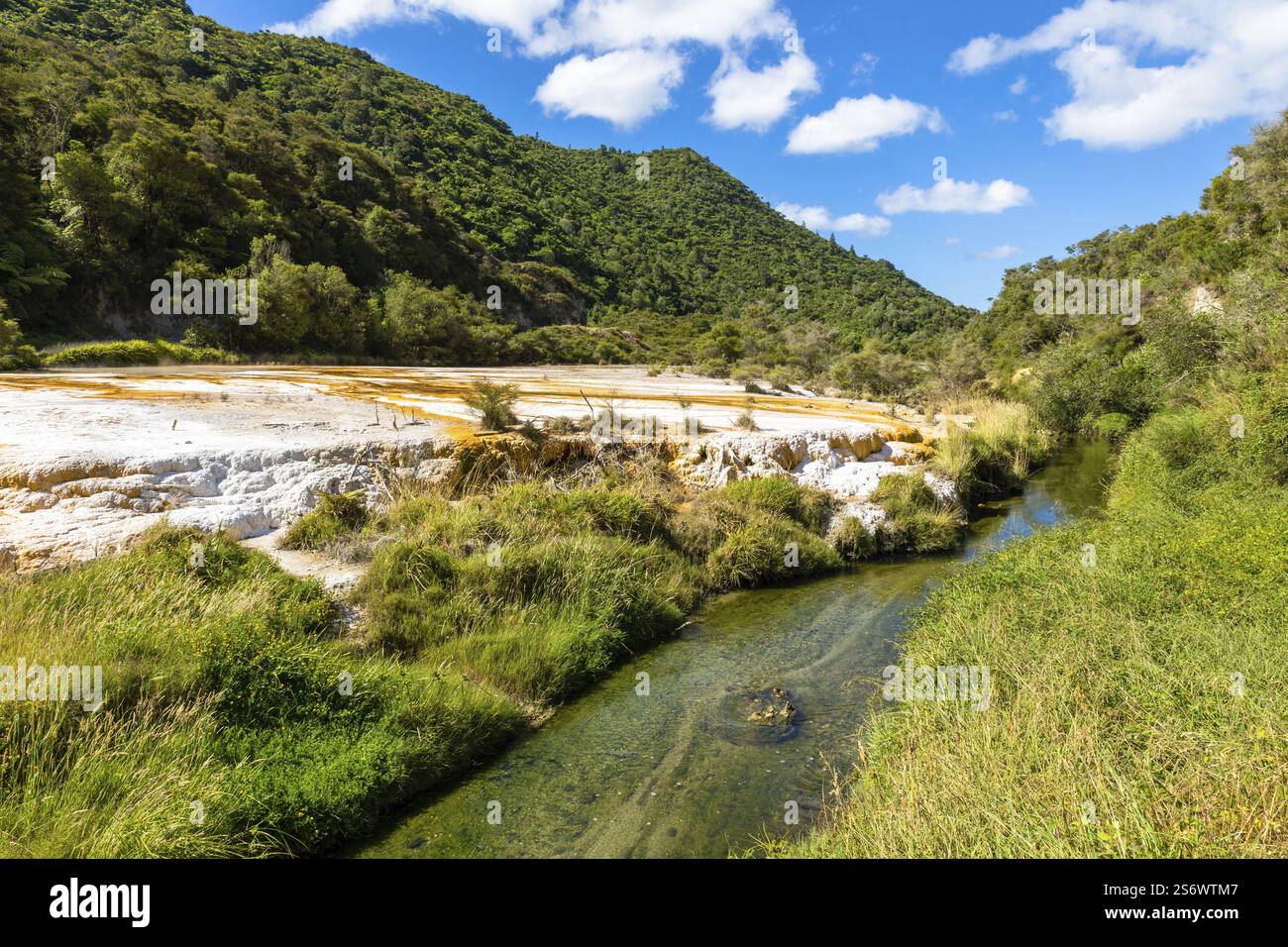 Una immagine di una attività vulcanica waimangu in Nuova Zelanda Foto Stock