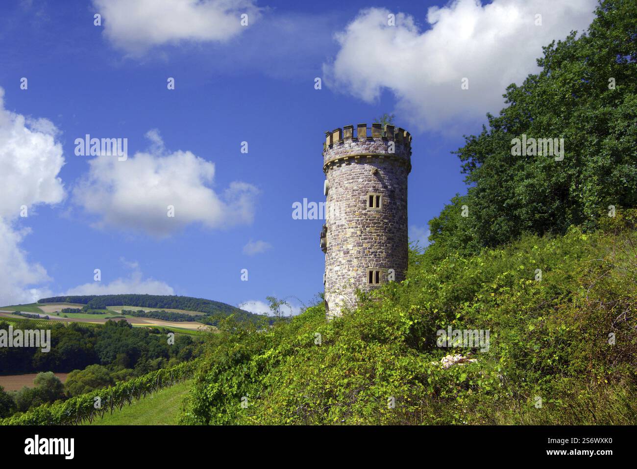 Fotomontaggio, (M), Repubblica federale di Germania, Germania, Renania-Palatinato, Ajaxturm vicino a Siefersheim sul Hiwweltour, vigneti, Siefersheim, RH Foto Stock