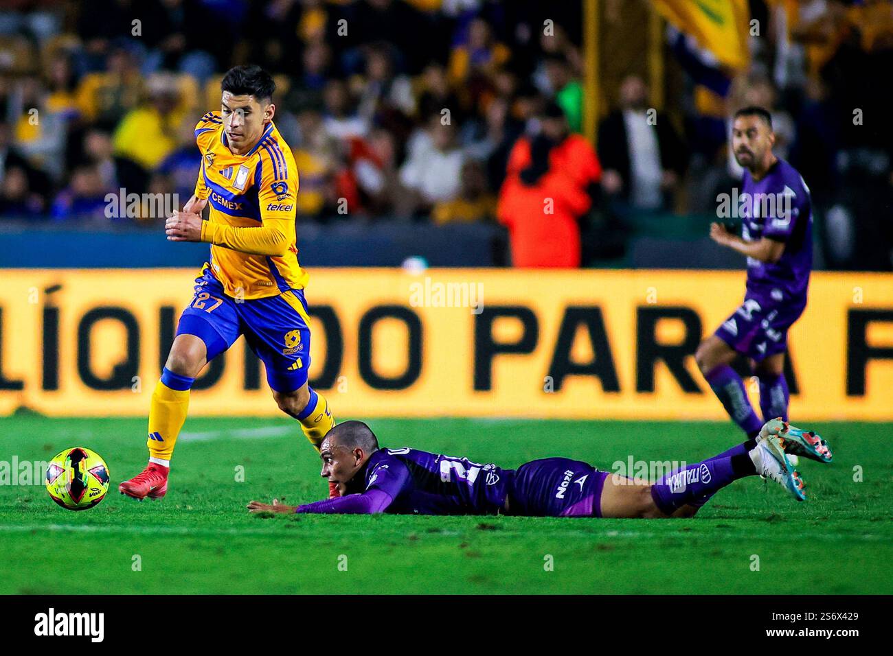 Monterrey, Messico. 17 gennaio 2025. LIGA BBVA MX Clausura 2 ° turno partita tra Club Tigres e Mazatlan a EstÃ¡dio UniversitÃ¡rio.#27 Defender Tigres, JesÃºs Alberto Angulo Uriarte va avanti dopo aver messo in campo un tackle. Credito obbligatorio: Toby Tande/PXImages (immagine di credito: © Torbjorn Tande/PX Imagens via ZUMA Press Wire) SOLO PER USO EDITORIALE! Non per USO commerciale! Crediti: ZUMA Press, Inc./Alamy Live News Foto Stock