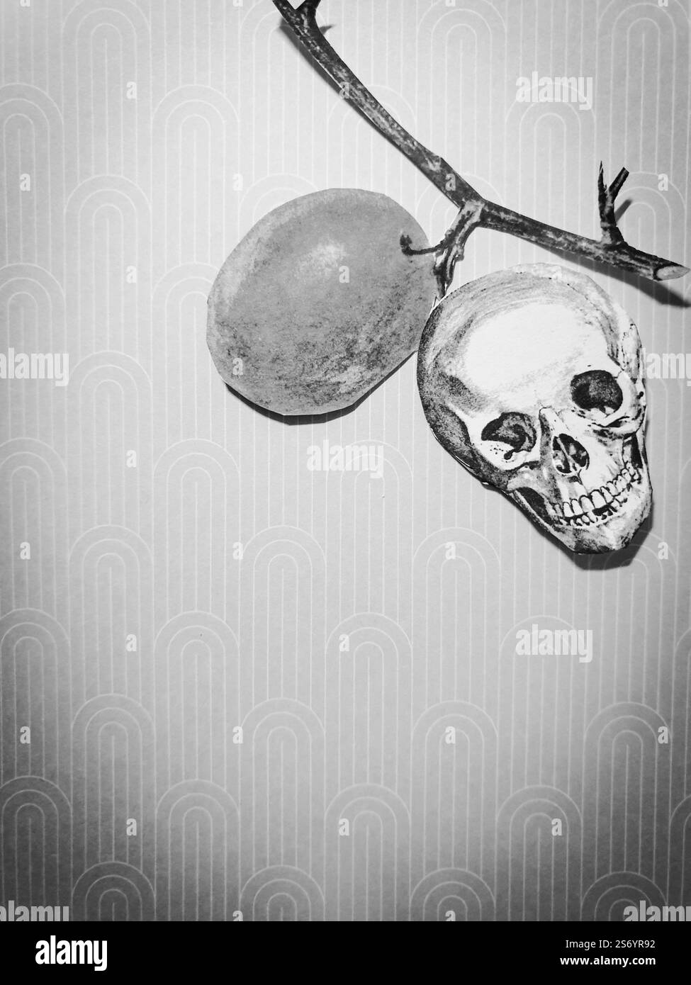 Collage concettuale di due bacche, una delle quali è in forma di cranio che simboleggia il veleno Foto Stock