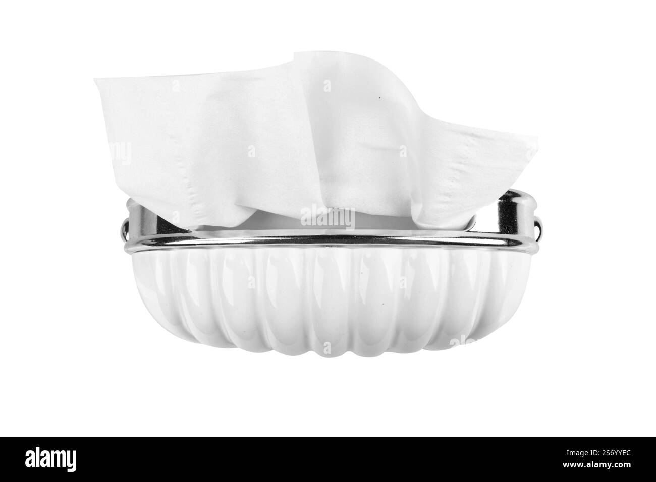 Supporto per tessuti isolato su sfondo bianco. Foto Stock