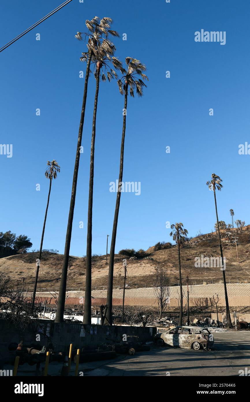 Los Angeles, Stati Uniti. 16 gennaio 2025. Un'auto distrutta dall'incendio di Palisades. Aree disastrate nel quartiere Pacific Palisades dopo l'incendio scoppiato nelle montagne di Santa Monica a Los Angeles il 7 gennaio, il 16 gennaio 2025 a Los Angeles. Foto di Christophe Michel/ABACAPRESS. COM credito: Abaca Press/Alamy Live News Foto Stock