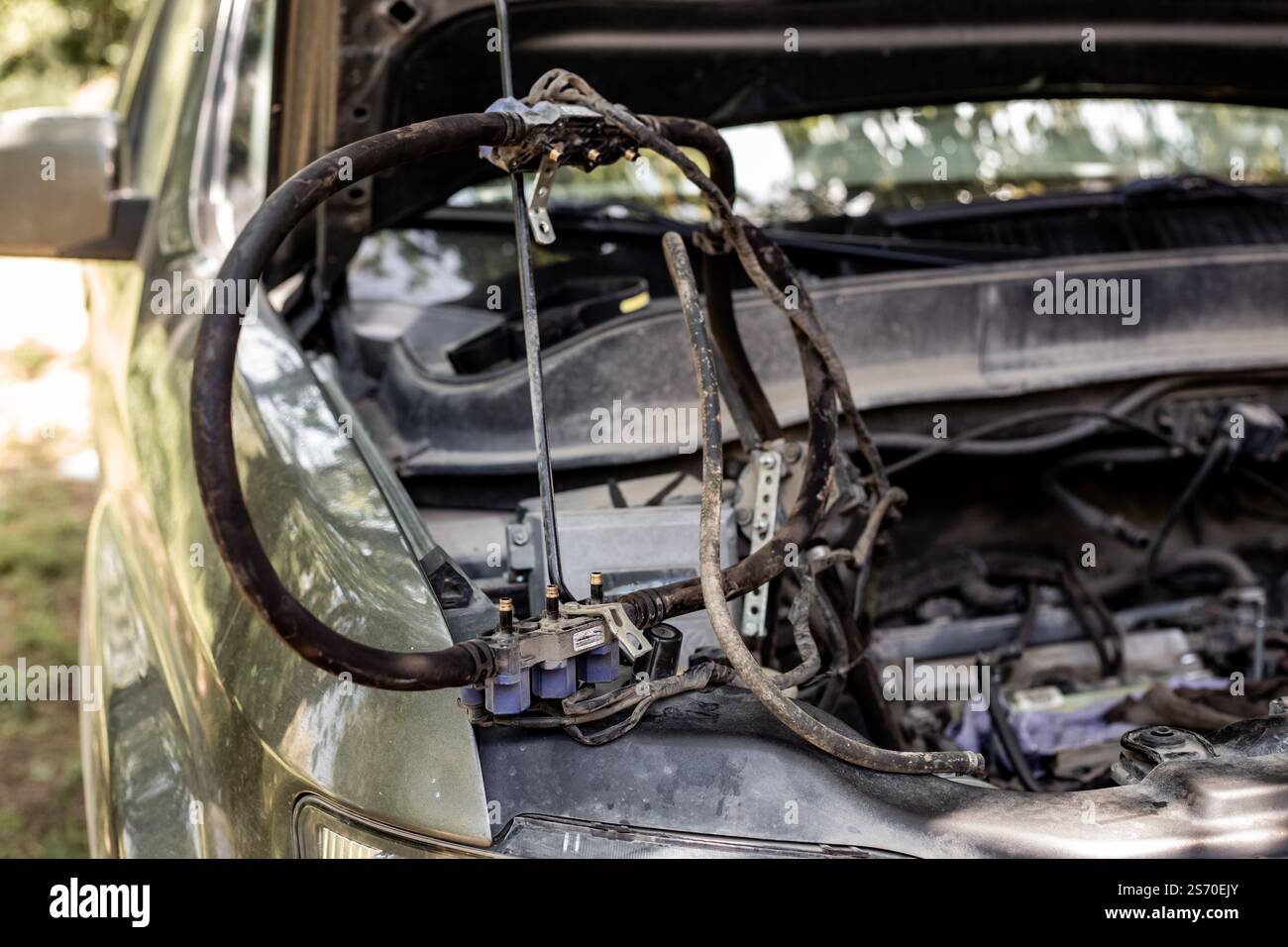 Riparazione auto. Manutenzione preventiva dell'alimentazione del gas dell'auto. Foto Stock