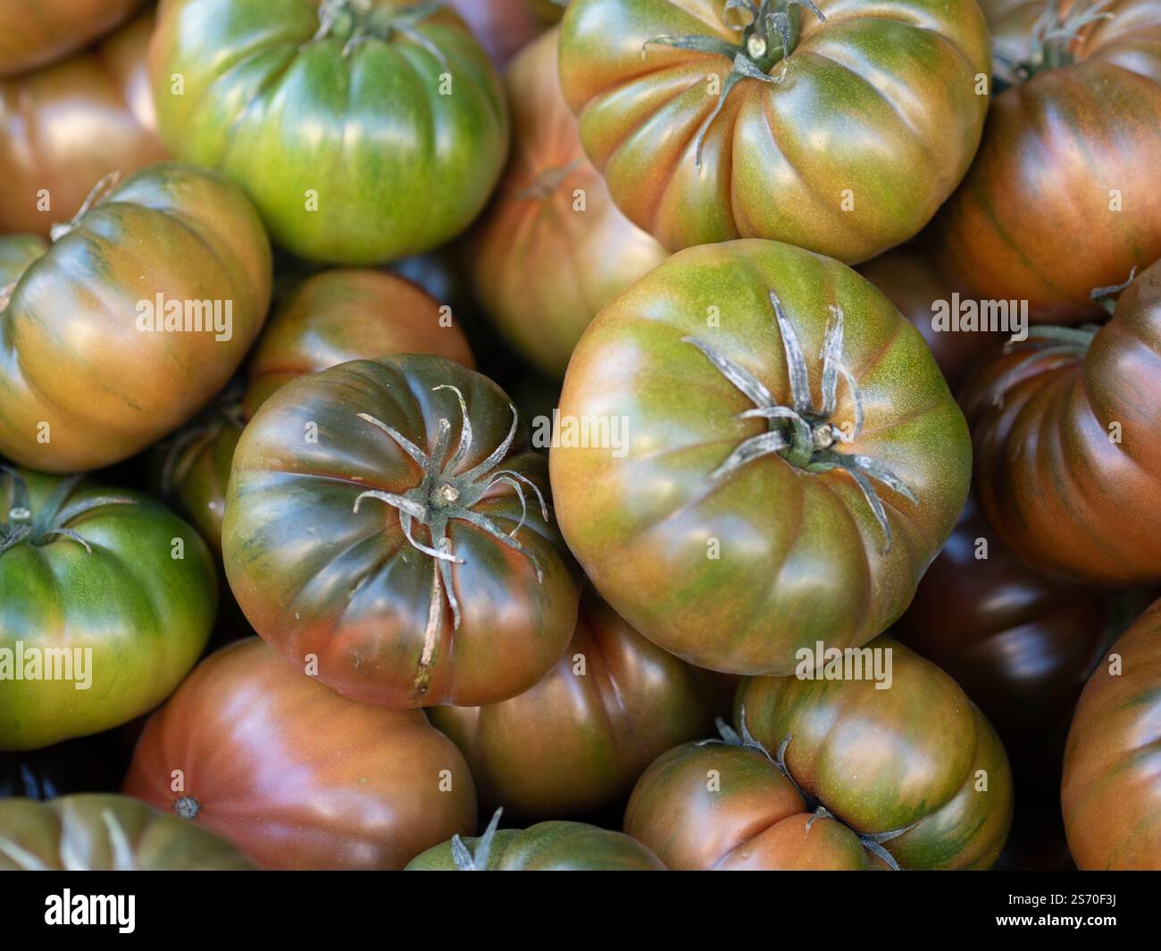 Pomodori sfusi in vendita sul mercato Foto Stock
