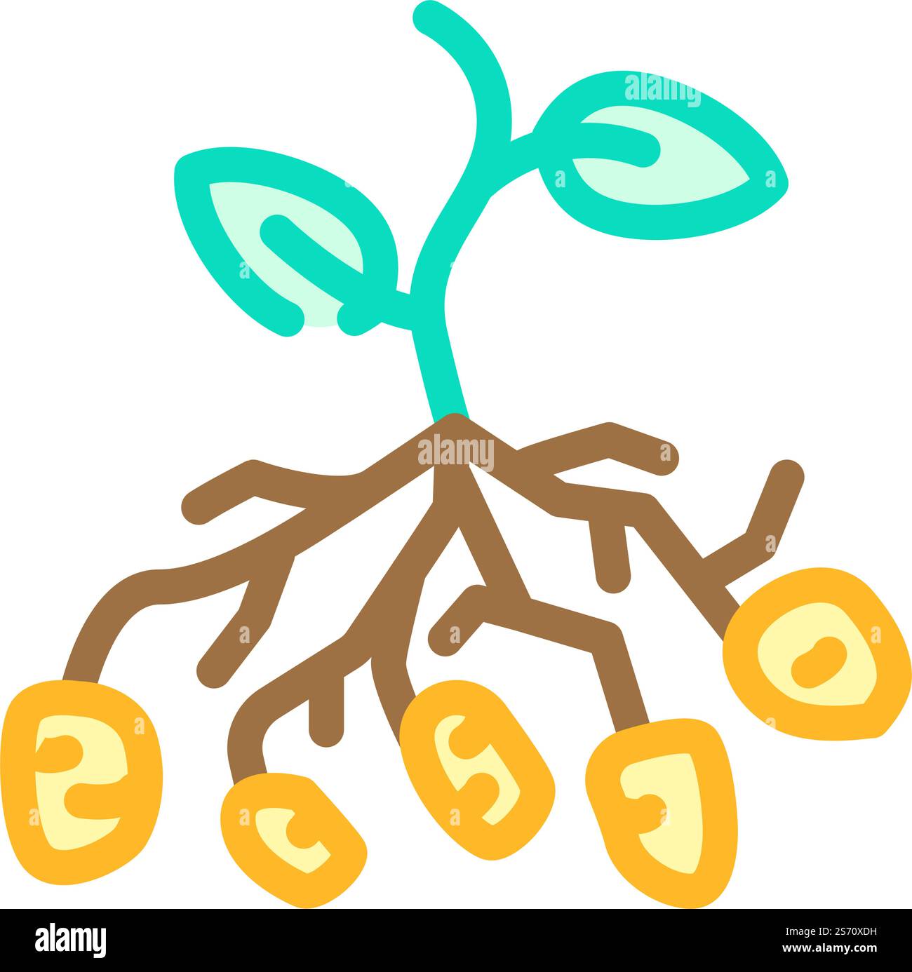 vettore dell'icona del colore della pianta del cespuglio di patate. cartello della pianta del cespuglio di patate. illustrazione del simbolo isolato. illustrazione vettoriale dell'icona del colore della pianta della patata Illustrazione Vettoriale