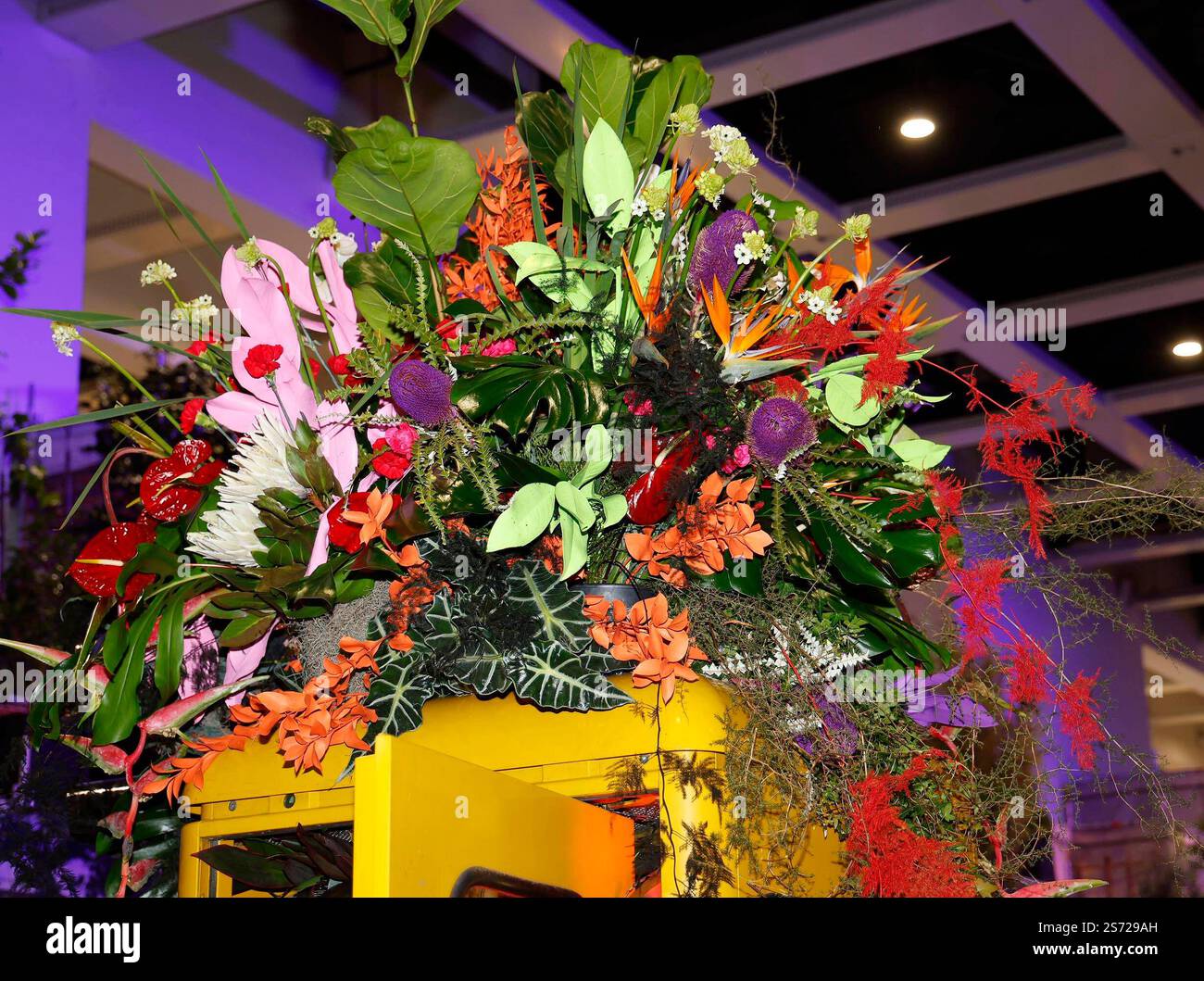 bei der Eröffnungsfeier der Blumenhalle auf der Grünen Woche 2025. *** Alla cerimonia di apertura della sala dei fiori alla settimana Verde 2025 Foto Stock