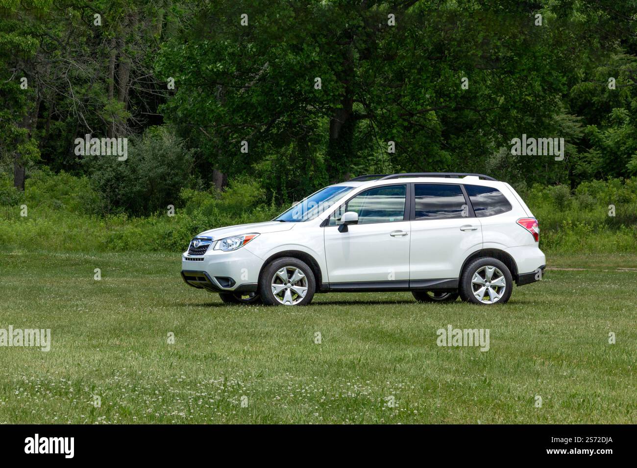Un bianco Subaru Forester è parcheggiato su un campo erboso, circondato da una vegetazione lussureggiante, sotto un cielo azzurro. Foto Stock