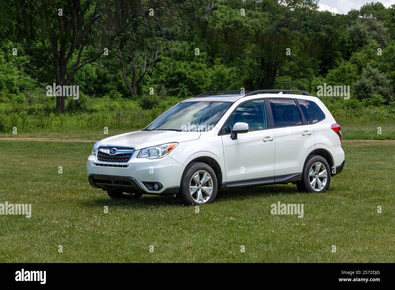 Una Subaru Forester bianca è parcheggiata su un campo erboso aperto durante una giornata di sole, circondata da lussureggianti alberi verdi, che mostrano un paesaggio calmo e naturale. Foto Stock