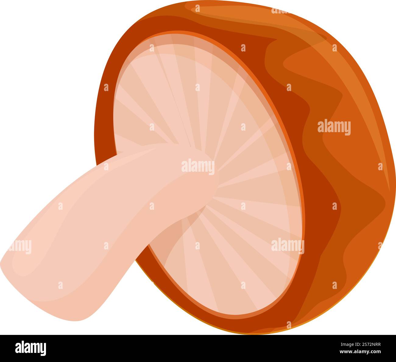 Vettore cartoni animati icona fungo Shimeji. Cibo shiitake. Morel Oyster. Vettore cartoni animati icona fungo Shimeji. Cibo shiitake Illustrazione Vettoriale