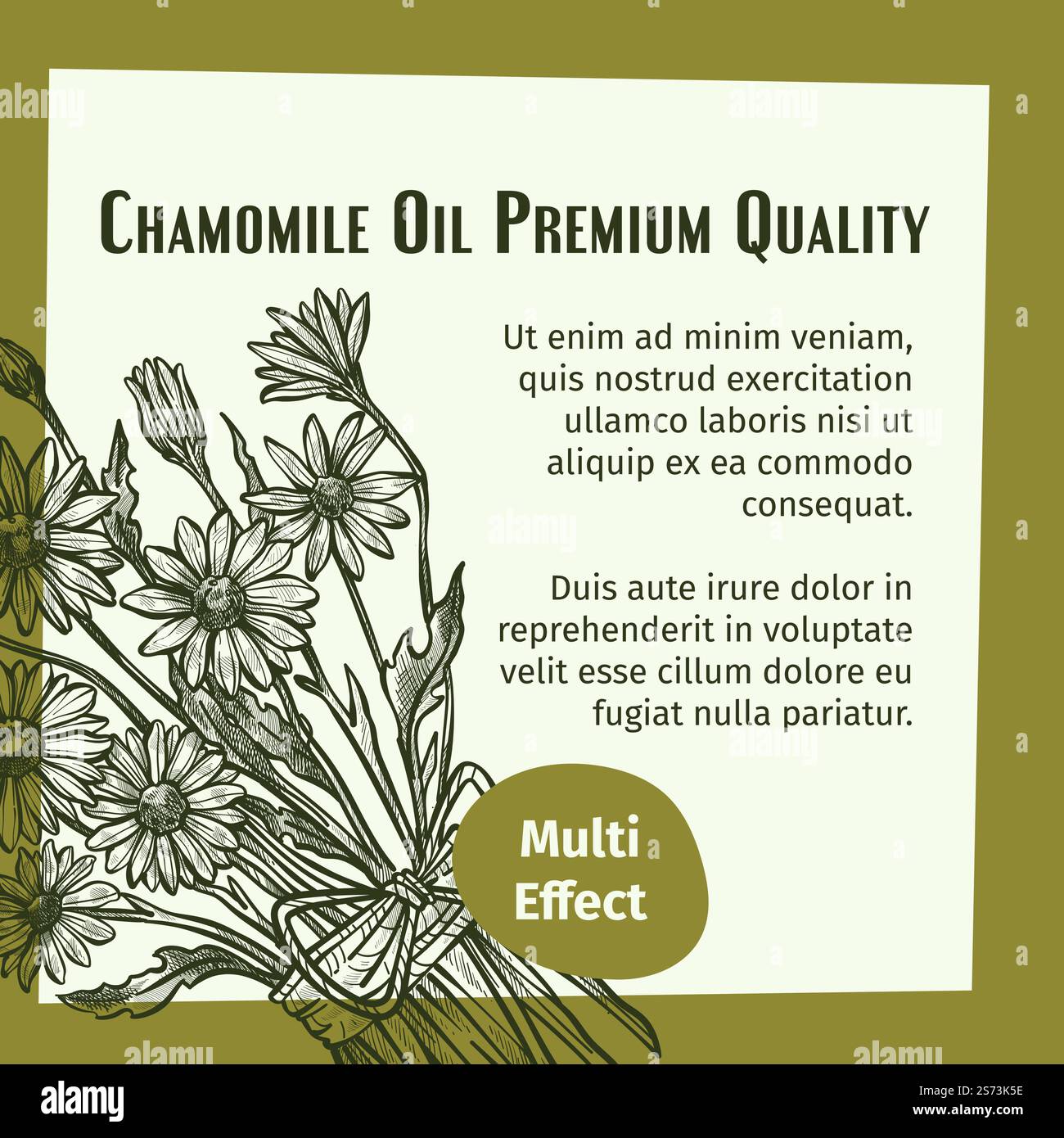 Olio di camomilla biologico e naturale, prodotto di alta qualità per medicina e cosmetici. Ingredienti per trattamenti e trattamenti spa per il benessere della pelle. Terapia profumata. Vettore in stile piatto. Striscione multieffetto di alta qualità con olio di camomilla Illustrazione Vettoriale